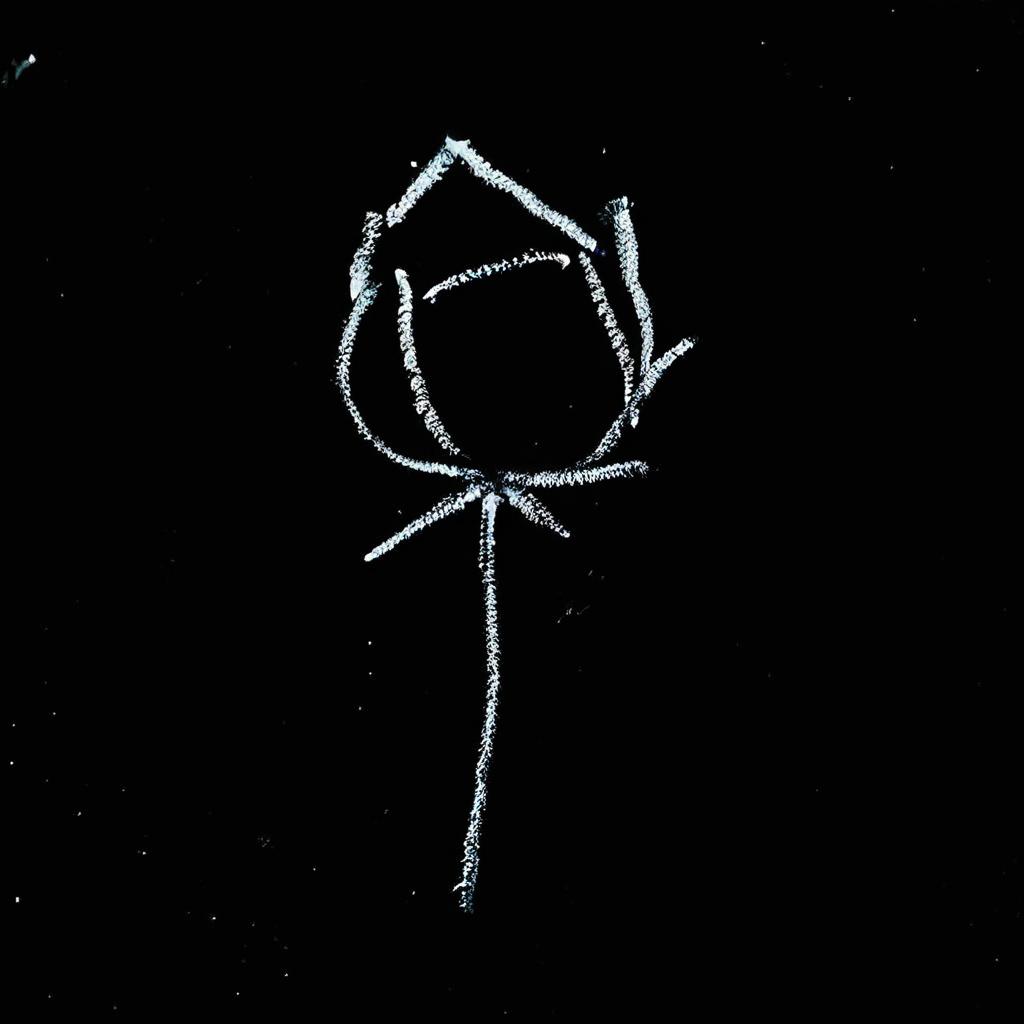 Chalk Rose